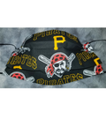 Pittsburgh Face Mask
